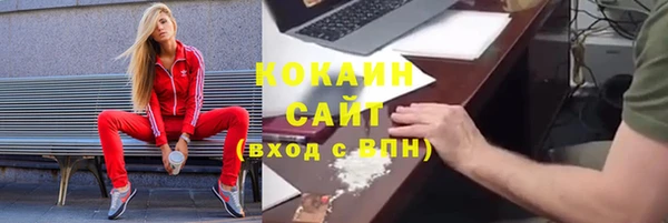 стафф Арсеньев