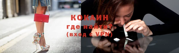 стафф Арсеньев