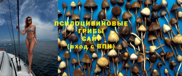 стафф Аркадак