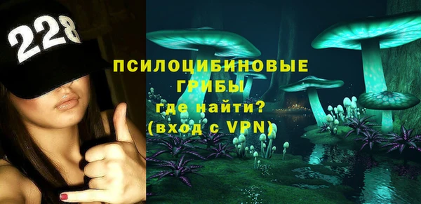 стафф Аркадак