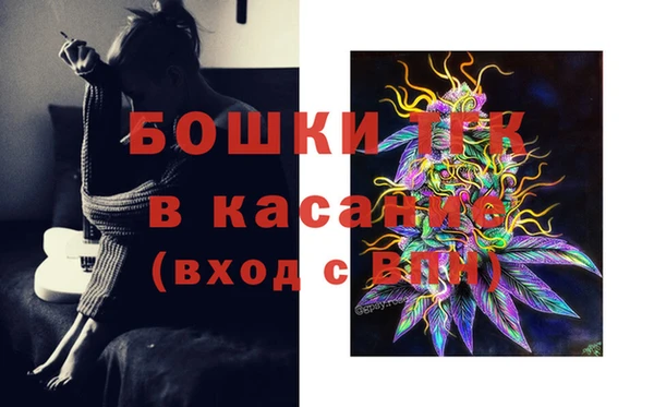 стафф Арсеньев