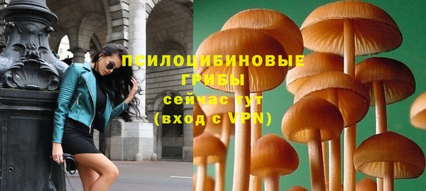 ПСИЛОЦИБИНОВЫЕ ГРИБЫ Армянск