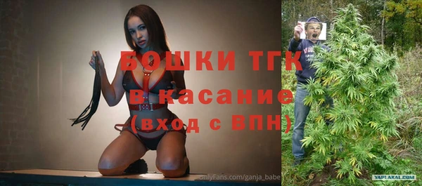 стафф Арсеньев